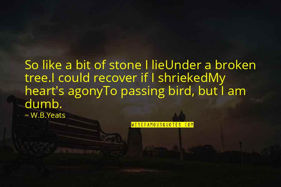 Stone Heart Quotes By W.B.Yeats: So like a bit of stone I lieUnder