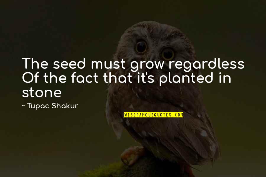 Stone In Quotes By Tupac Shakur: The seed must grow regardless Of the fact