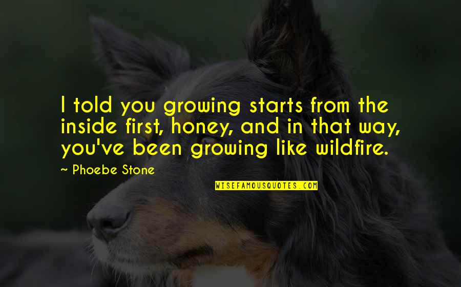 Stone Inspirational Quotes By Phoebe Stone: I told you growing starts from the inside Stone Inspirational Quotes By Phoebe Stone: I told you growing starts from the inside