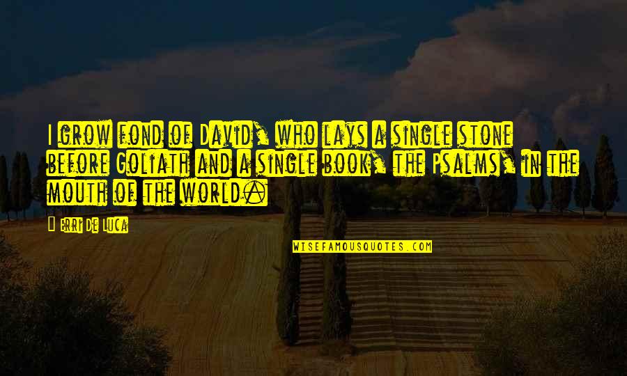 Stone Quotes By Erri De Luca: I grow fond of David, who lays a