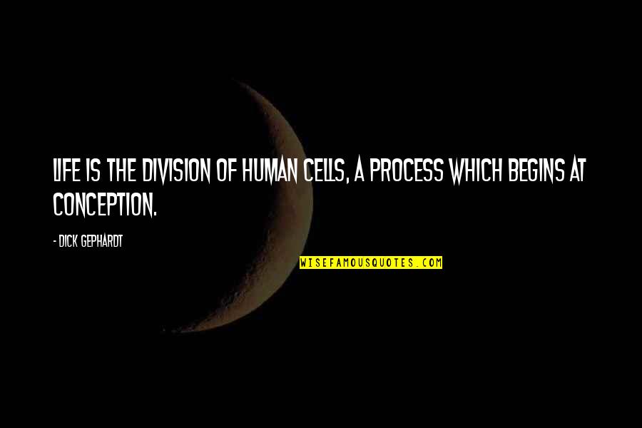 Stonehouse Escanaba Quotes By Dick Gephardt: Life is the division of human cells, a