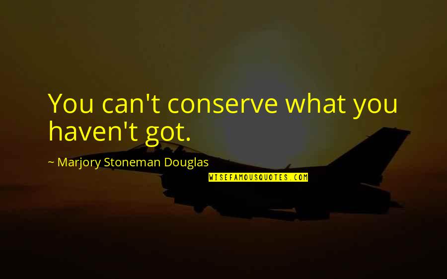 Stoneman Douglas Quotes By Marjory Stoneman Douglas: You can't conserve what you haven't got.