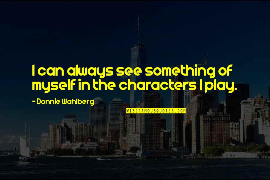 Stoneness Quotes By Donnie Wahlberg: I can always see something of myself in