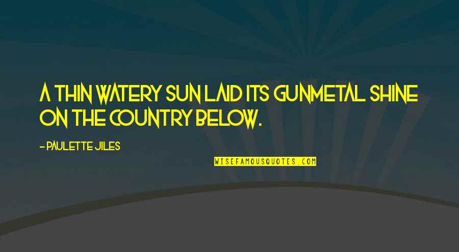 Stoner Love Quotes By Paulette Jiles: A thin watery sun laid its gunmetal shine