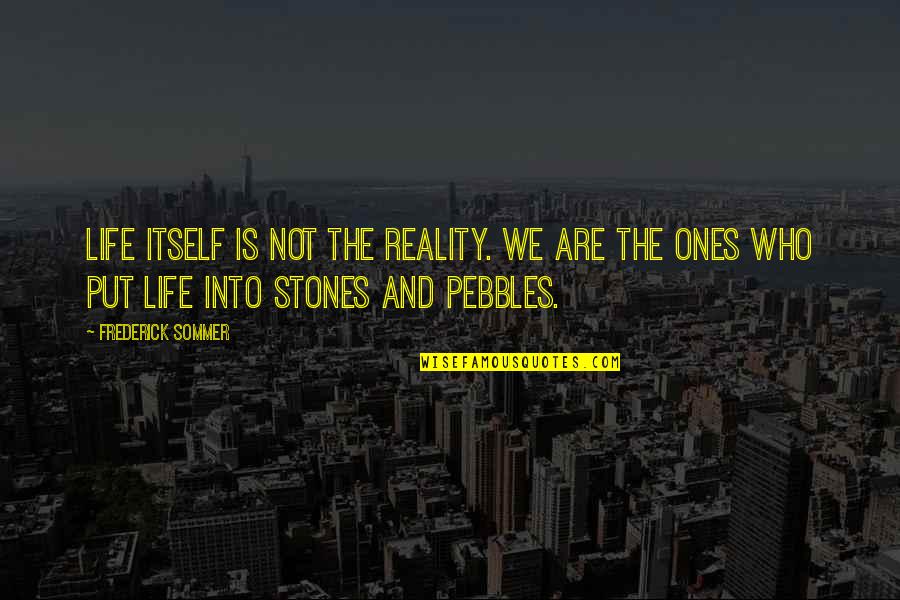 Stones And Life Quotes By Frederick Sommer: Life itself is not the reality. We are