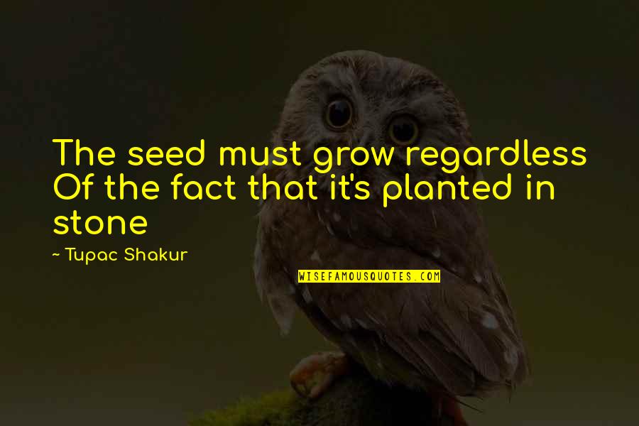 Stones Quotes By Tupac Shakur: The seed must grow regardless Of the fact