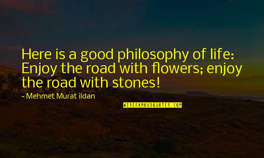 Stones With Quotes By Mehmet Murat Ildan: Here is a good philosophy of life: Enjoy Stones With Quotes By Mehmet Murat Ildan: Here is a good philosophy of life: Enjoy