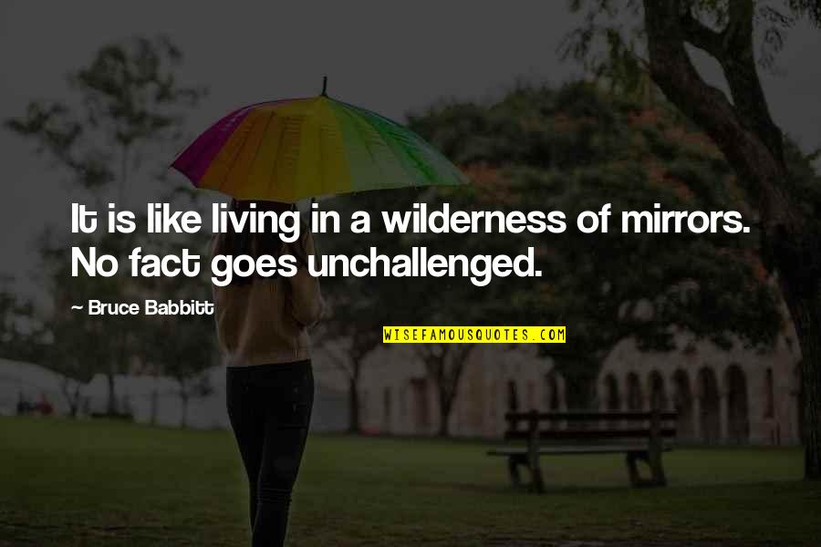 Stoneware Quotes By Bruce Babbitt: It is like living in a wilderness of