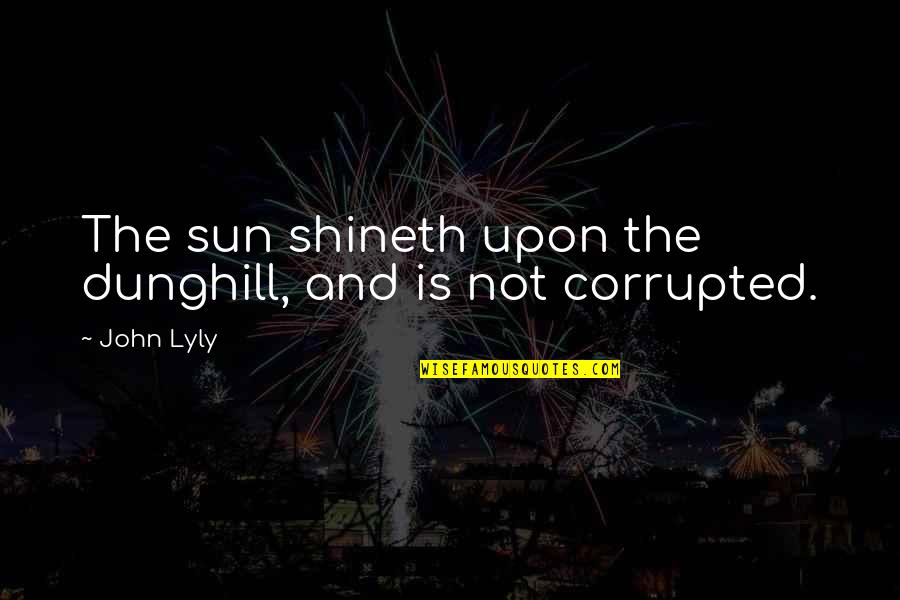 Stoneworker Quotes By John Lyly: The sun shineth upon the dunghill, and is