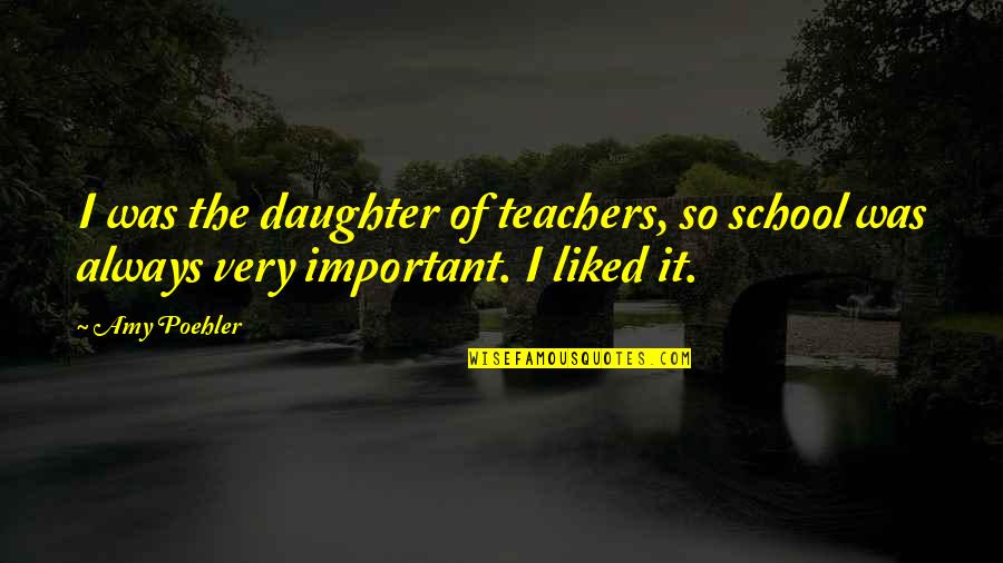 Stoneys Bbq Quotes By Amy Poehler: I was the daughter of teachers, so school