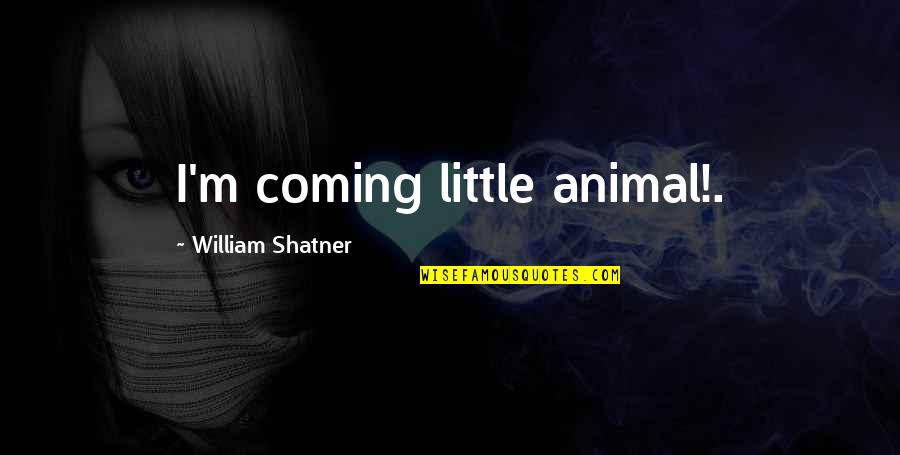 Stoniest Quotes By William Shatner: I'm coming little animal!.