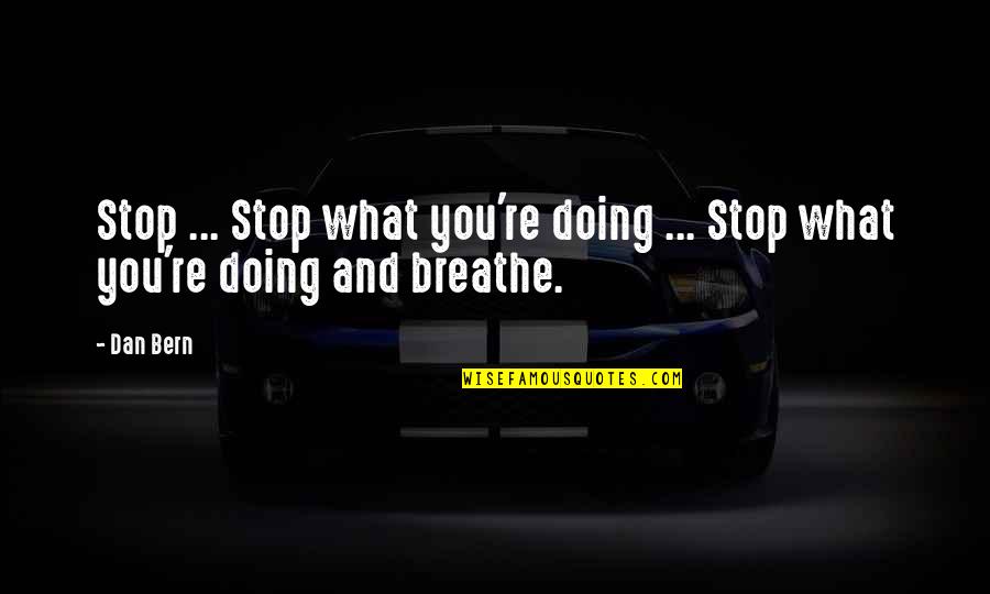 Stop And Breathe Quotes By Dan Bern: Stop ... Stop what you're doing ... Stop