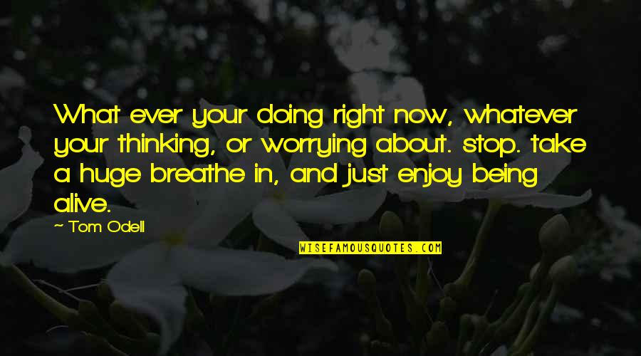 Stop And Breathe Quotes By Tom Odell: What ever your doing right now, whatever your
