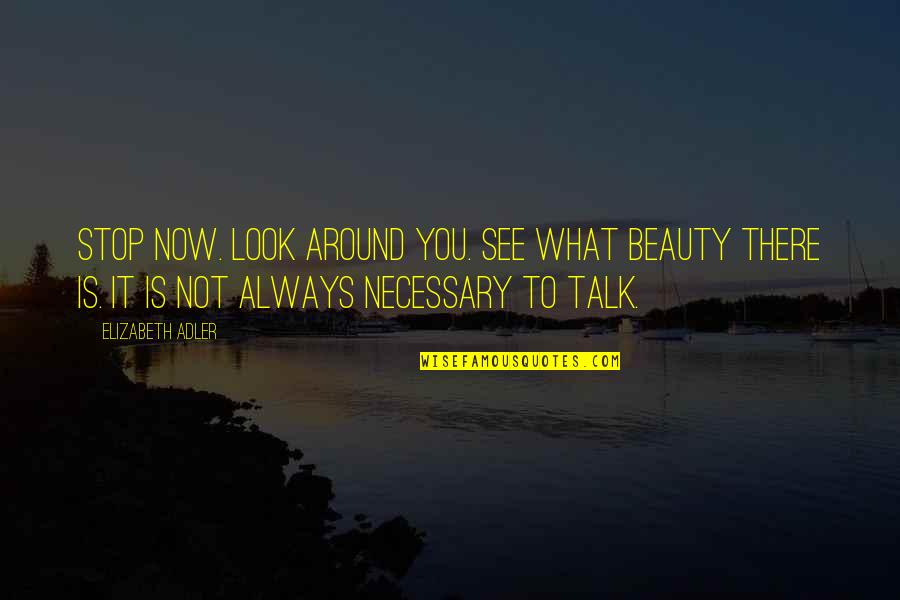 Stop And Look Around Quotes By Elizabeth Adler: Stop now. Look around you. See what beauty Stop And Look Around Quotes By Elizabeth Adler: Stop now. Look around you. See what beauty