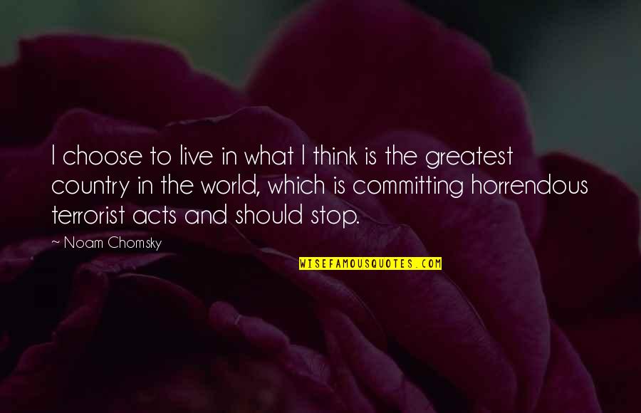Stop And Think Quotes By Noam Chomsky: I choose to live in what I think