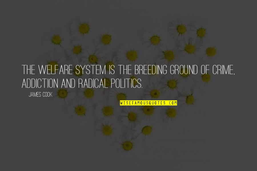 Stop Asking Questions Quotes By James Cook: The welfare system is the breeding ground of