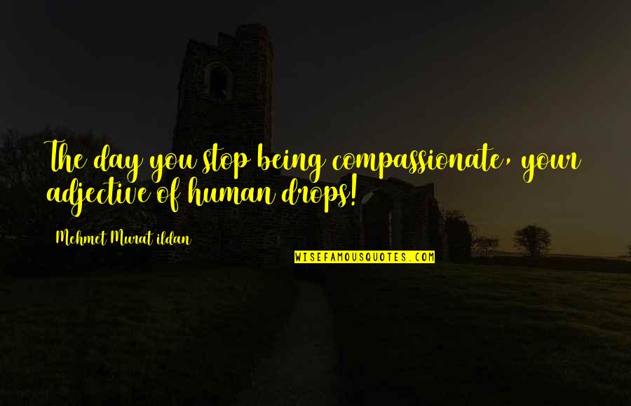Stop Being Quotes By Mehmet Murat Ildan: The day you stop being compassionate, your adjective