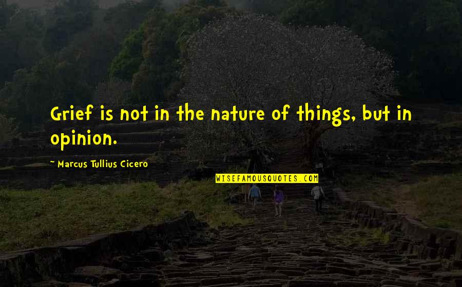 Stop Chasing Dreams Quotes By Marcus Tullius Cicero: Grief is not in the nature of things,