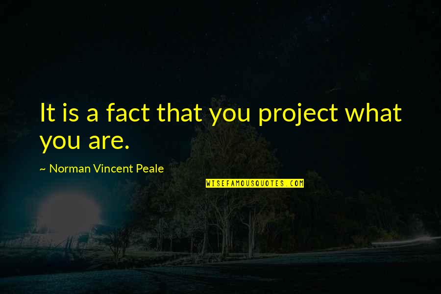 Stop Chasing Dreams Quotes By Norman Vincent Peale: It is a fact that you project what