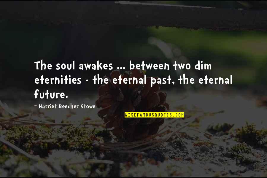 Stop Claiming Quotes By Harriet Beecher Stowe: The soul awakes ... between two dim eternities