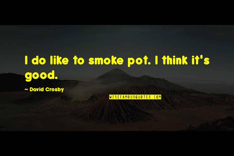 Stop Controlling Others Quotes By David Crosby: I do like to smoke pot. I think