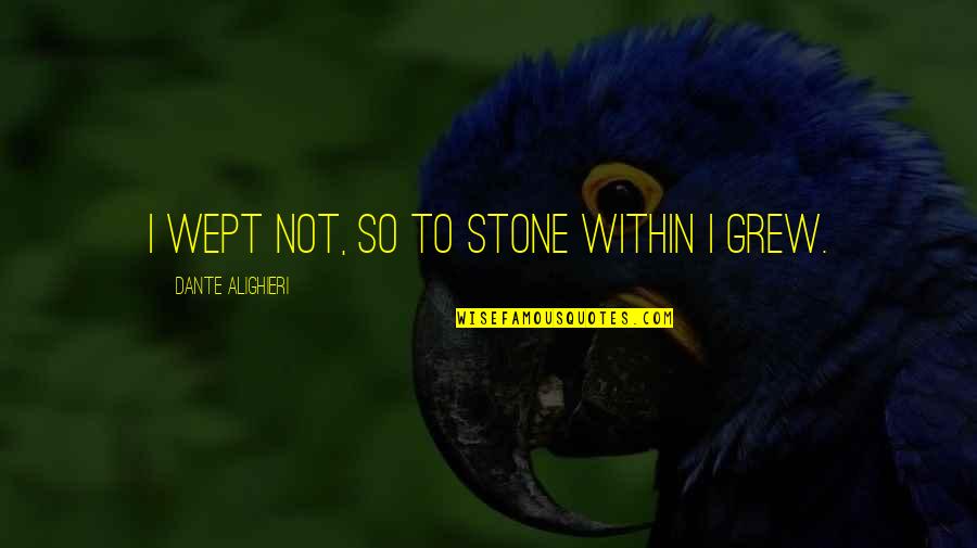 Stop Crying Funny Quotes By Dante Alighieri: I wept not, so to stone within I