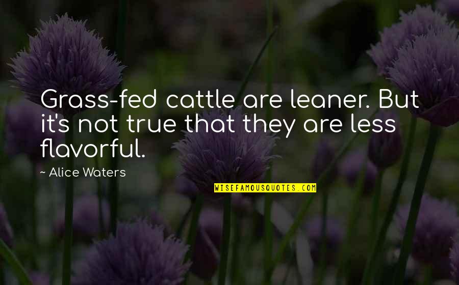 Stop Doing Things For Others Quotes By Alice Waters: Grass-fed cattle are leaner. But it's not true