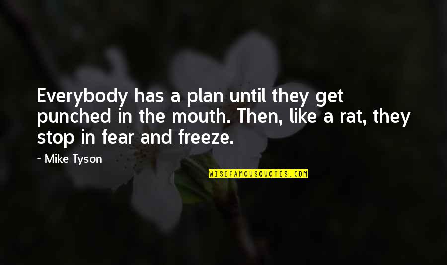 Stop Fear Quotes By Mike Tyson: Everybody has a plan until they get punched