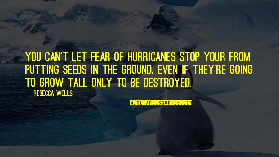 Stop Fear Quotes By Rebecca Wells: You can't let fear of hurricanes stop your