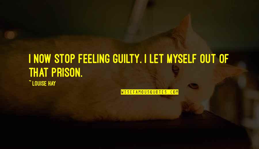 Stop Feeling Guilty Quotes By Louise Hay: I now stop feeling guilty. I let myself
