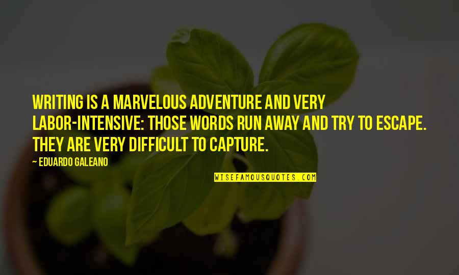 Stop Fighting Your Feelings Quotes By Eduardo Galeano: Writing is a marvelous adventure and very labor-intensive: Stop Fighting Your Feelings Quotes By Eduardo Galeano: Writing is a marvelous adventure and very labor-intensive: