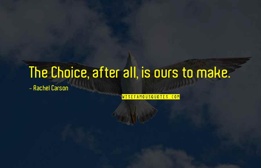 Stop Hating On Me Quotes By Rachel Carson: The Choice, after all, is ours to make.