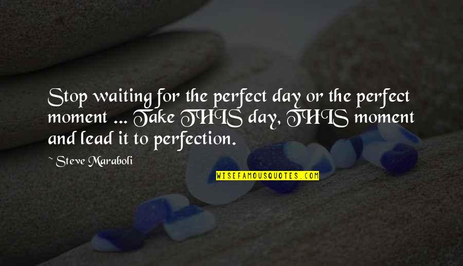 Stop Life Quotes By Steve Maraboli: Stop waiting for the perfect day or the Stop Life Quotes By Steve Maraboli: Stop waiting for the perfect day or the
