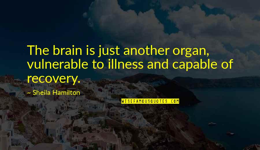 Stop Playing Games Quotes By Sheila Hamilton: The brain is just another organ, vulnerable to