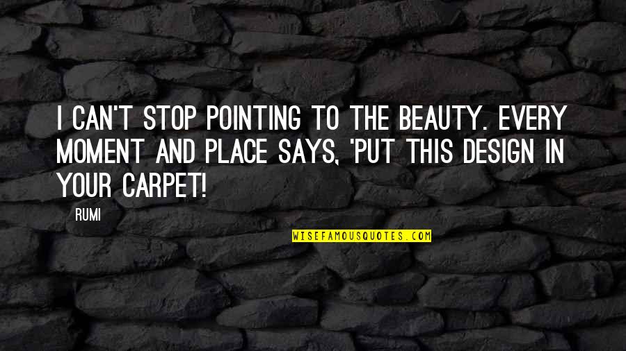 Stop This Moment Quotes By Rumi: I can't stop pointing to the beauty. Every