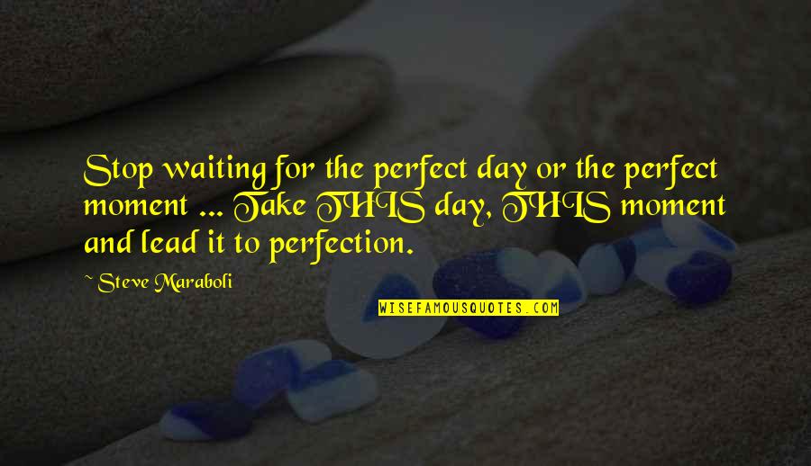 Stop This Quotes By Steve Maraboli: Stop waiting for the perfect day or the