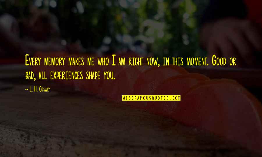 Stop Throwing Stones Quotes By L. H. Cosway: Every memory makes me who I am right