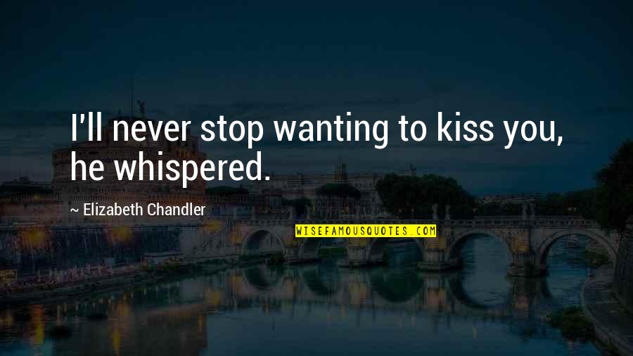 Stop Wanting More Quotes By Elizabeth Chandler: I'll never stop wanting to kiss you, he