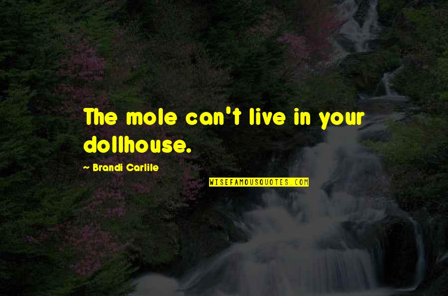 Stop Worrying About Others Quotes By Brandi Carlile: The mole can't live in your dollhouse.