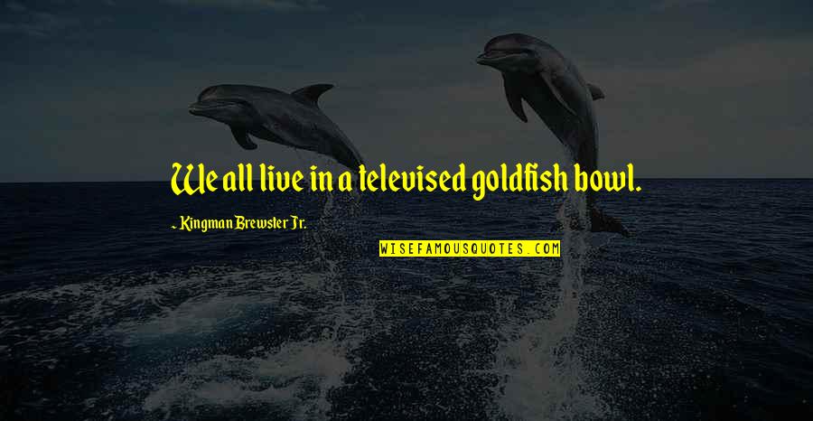 Stoparky Quotes By Kingman Brewster Jr.: We all live in a televised goldfish bowl. Stoparky Quotes By Kingman Brewster Jr.: We all live in a televised goldfish bowl.