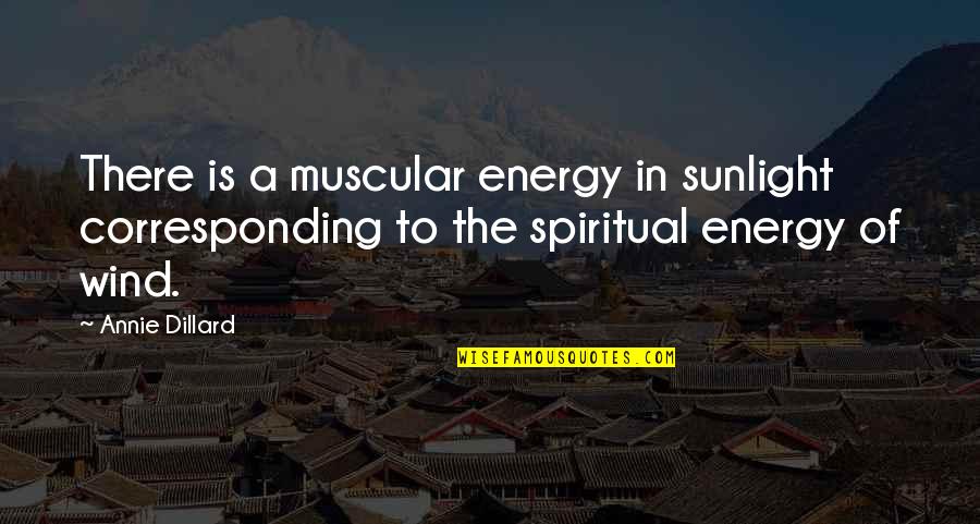 Stores With Wall Quotes By Annie Dillard: There is a muscular energy in sunlight corresponding