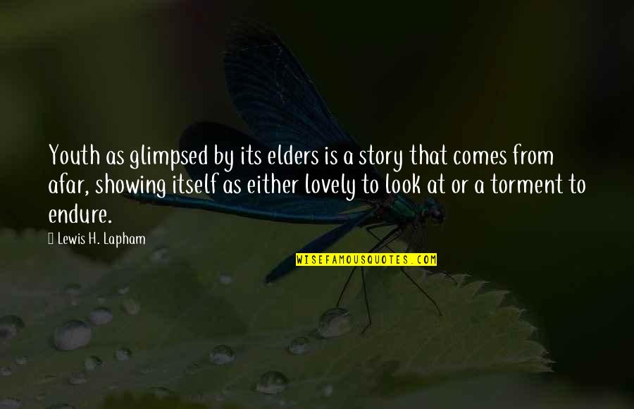 Stories As Quotes By Lewis H. Lapham: Youth as glimpsed by its elders is a