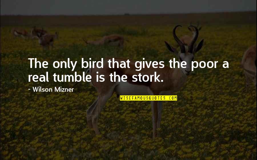 Stork Quotes By Wilson Mizner: The only bird that gives the poor a