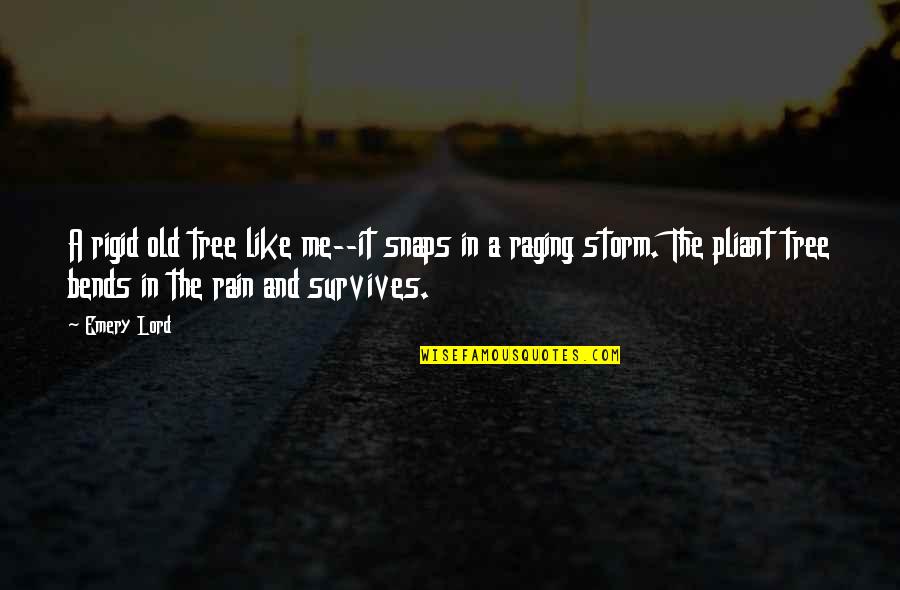 Storm And Rain Quotes By Emery Lord: A rigid old tree like me--it snaps in Storm And Rain Quotes By Emery Lord: A rigid old tree like me--it snaps in