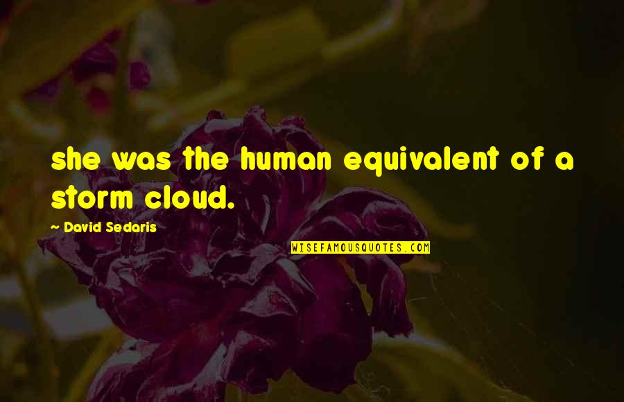 Storm Cloud Quotes By David Sedaris: she was the human equivalent of a storm