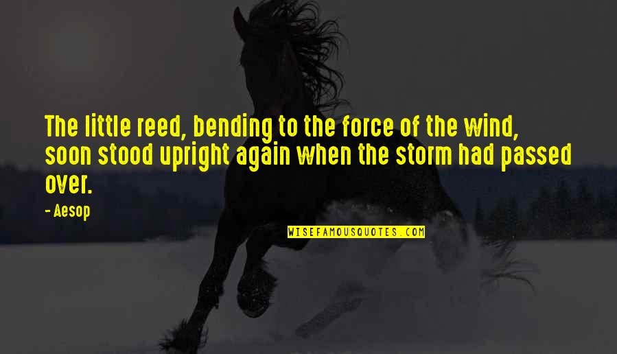 Storm Wind Quotes By Aesop: The little reed, bending to the force of