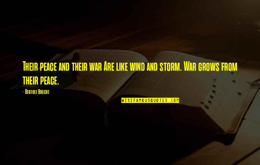 Storm Wind Quotes By Bertolt Brecht: Their peace and their war Are like wind
