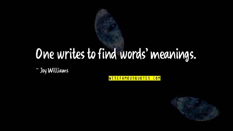 Stormen Gudrun Quotes By Joy Williams: One writes to find words' meanings.