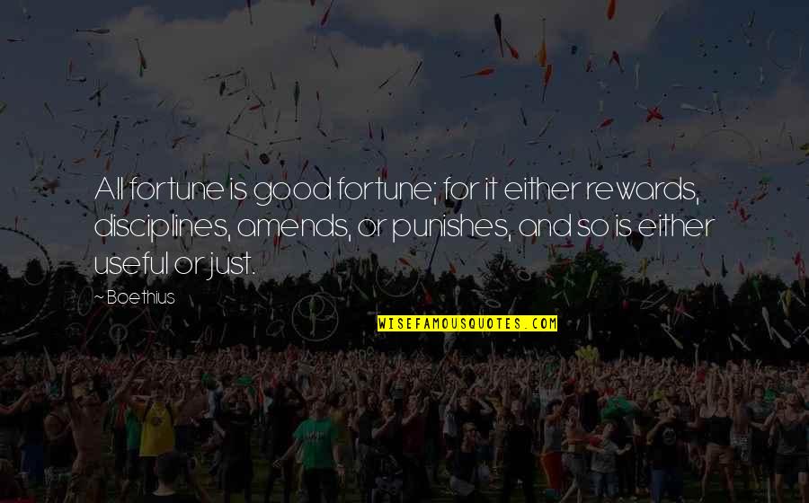 Stormen Sensitivity Quotes By Boethius: All fortune is good fortune; for it either