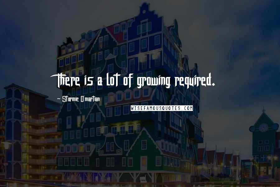 Stormie O'martian quotes: There is a lot of growing required.